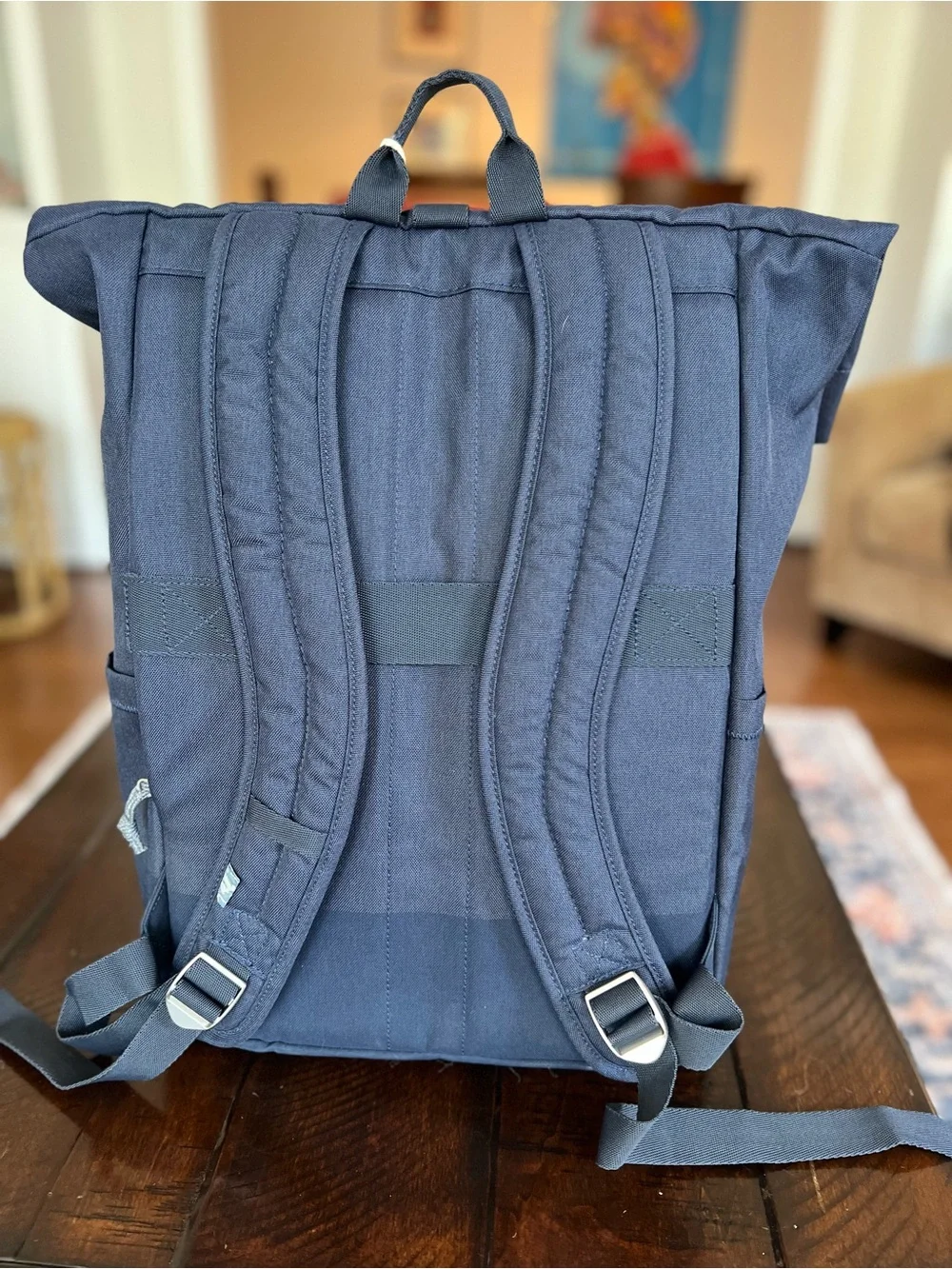 NWT Skyway Rainier Rolltop Commuter Backpack Navy 20L Laptop Travel Bag